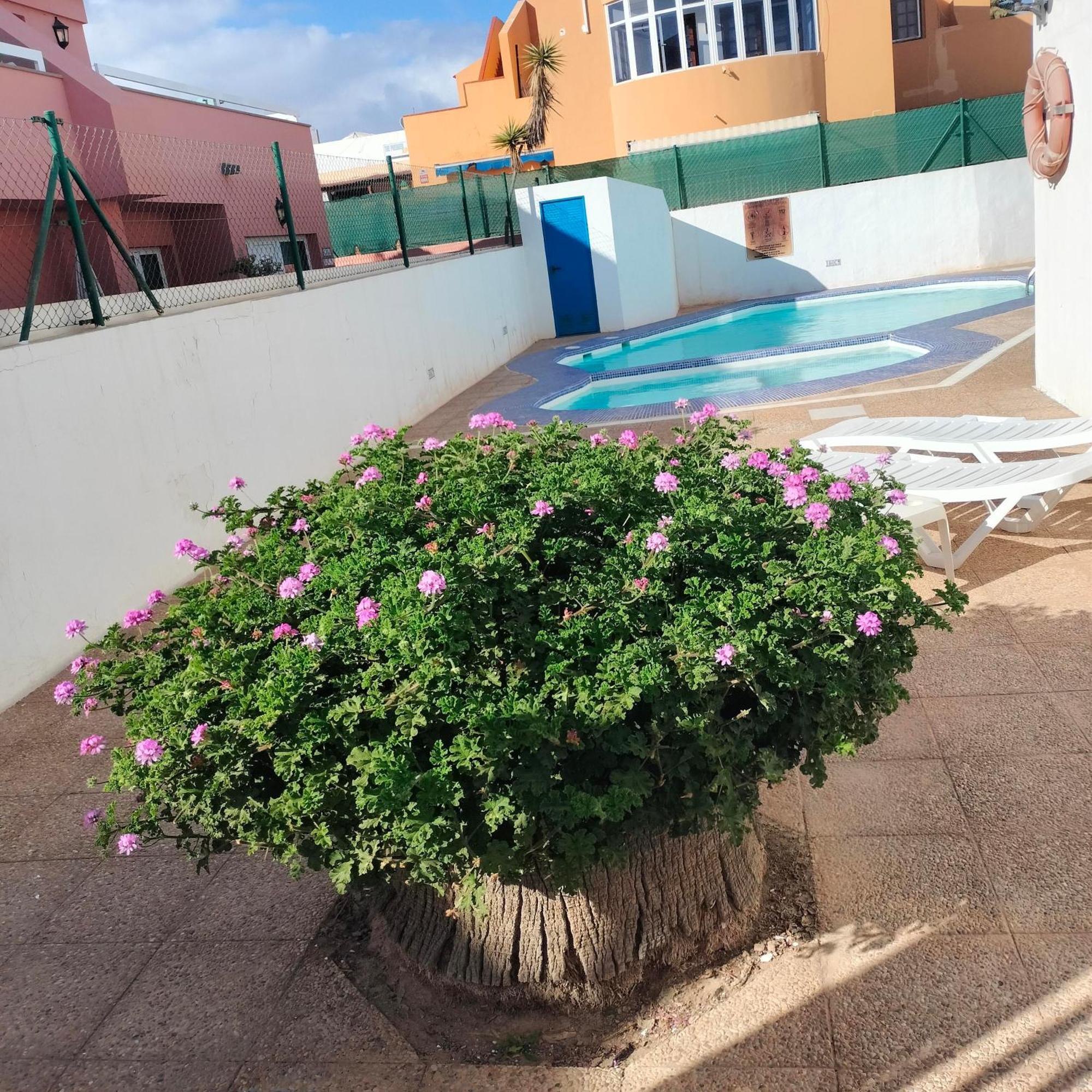 Vivienda Vacacional Alipatri Caleta De Fuste Exterior foto